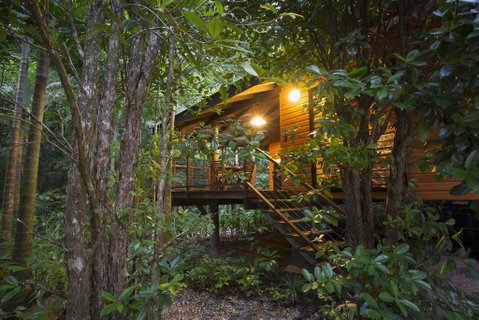 Wildwood - QLD Tourism 0