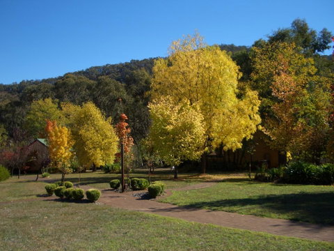 Willowlake Cottages - QLD Tourism 0