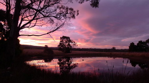 Wind Song Bed & Breakfast - QLD Tourism 0