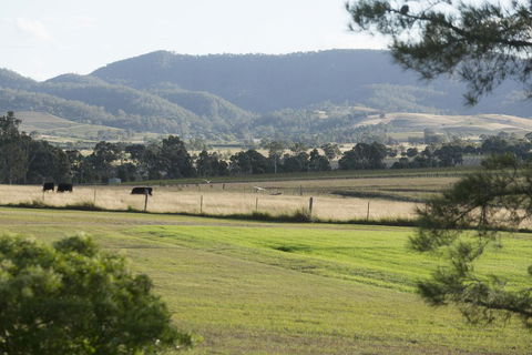 Windarra Lodge - QLD Tourism 3