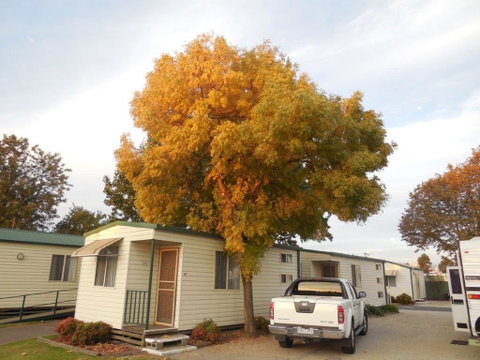 Wodonga Caravan & Cabin Park - QLD Tourism 0