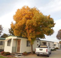 Wodonga Caravan  Cabin Park - Queensland Tourism