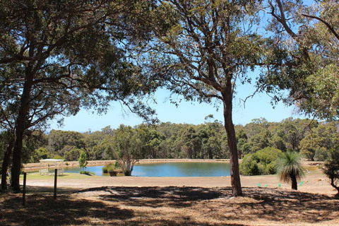 Woodstone Goanna Cottage - Queensland Tourism 3