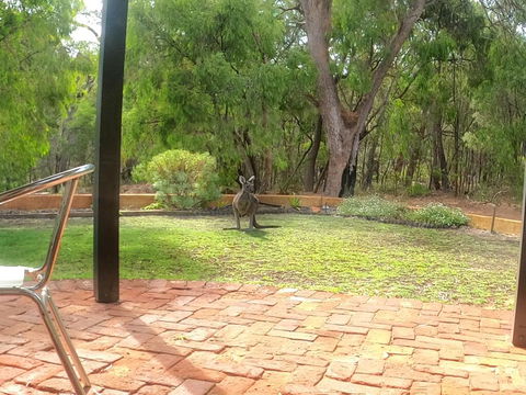 Yallingup Pet Friendly Bush Retreat - Queensland Tourism 3