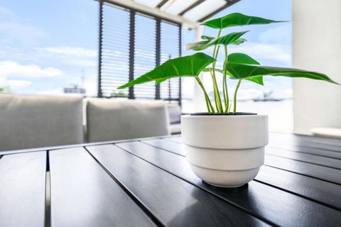 Accent On McLeod - Breezy Outdoor Living - Queensland Tourism 0