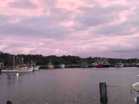 Aloha Iluka! - Queensland Tourism 1