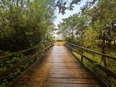 Alpaca Tiny House With Vineyard Lakeside By Tiny Away - Queensland Tourism 1