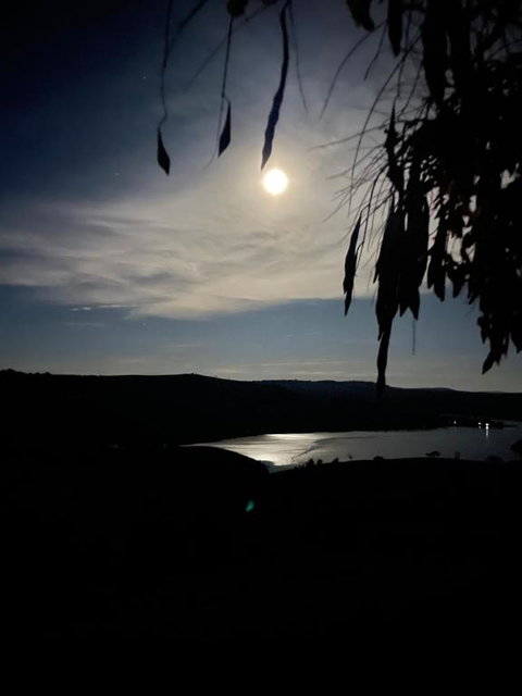 Amazing Views Pet Friendly Bed And Breakfast - Queensland Tourism 1