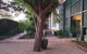 Anglesey House Iconic Forbes CBD Heritage Home - thumb 3