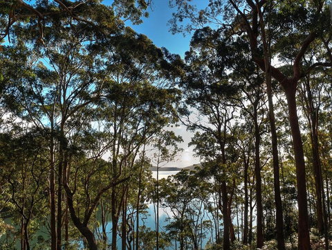 Aqua Vista - Queensland Tourism 4