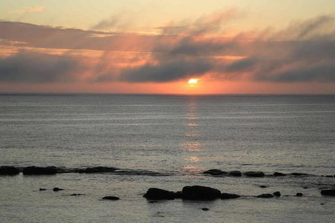 Augusta Beachfront - Watch The Whales Go By - Queensland Tourism 1