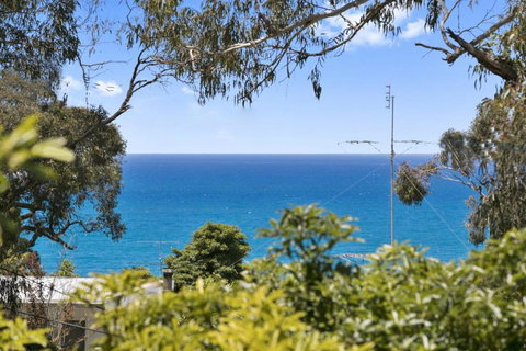 Avirgonia - Queensland Tourism 2