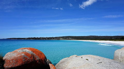 BAY OF FIRES BEACH SHACK Ocean Views From A Modern Beachhouse - QLD Tourism 3