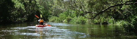 Absolute Waterfront - Queensland Tourism 33