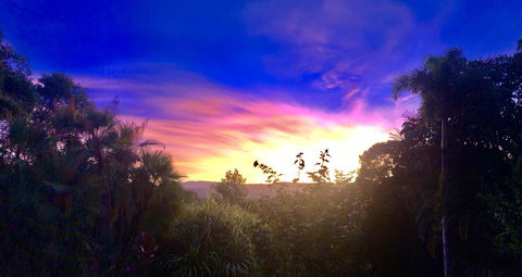 Daintree Manor B&B - Queensland Tourism 3