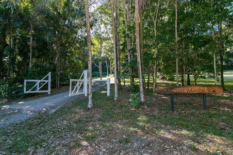 Daintree Manor B&B - Queensland Tourism 18