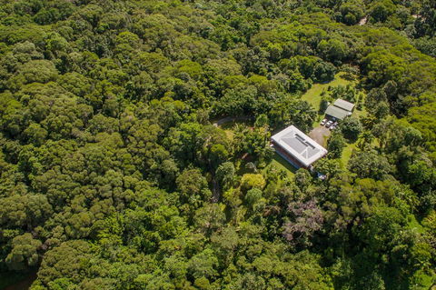 Daintree Manor B&B - Queensland Tourism 14