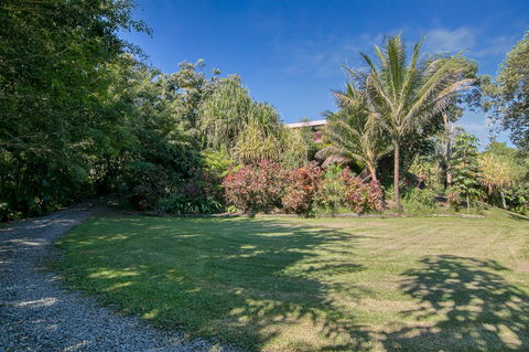 Daintree Manor B&B - Queensland Tourism 19