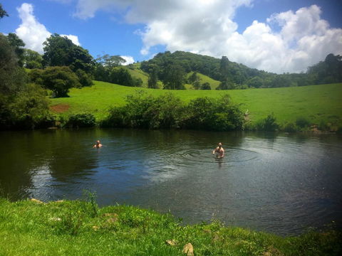 Maleny Springs Farm - QLD Tourism 34