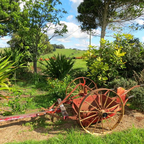 Maleny Springs Farm - QLD Tourism 37