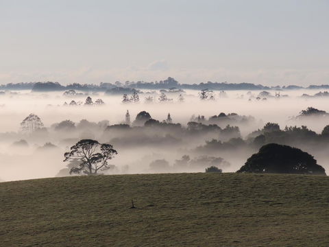 Maleny Springs Farm - QLD Tourism 22