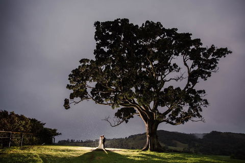 Maleny Springs Farm - QLD Tourism 16