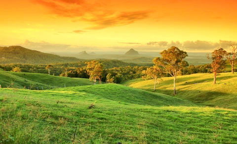 Maleny Springs Farm - QLD Tourism 20