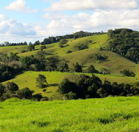 Maleny Springs Farm - QLD Tourism