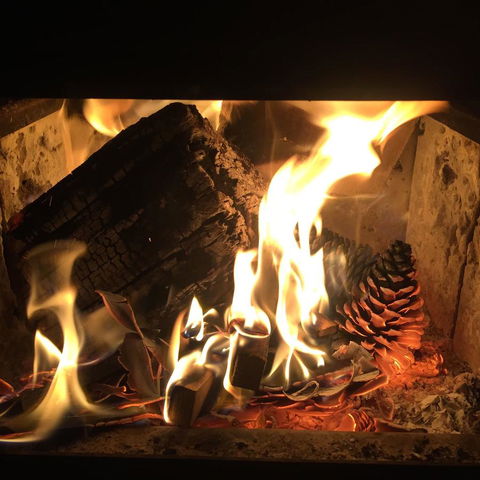 Maleny Springs Farm - QLD Tourism 13