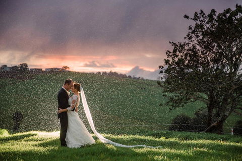 Maleny Springs Farm - QLD Tourism 11