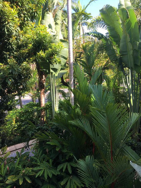 Port Douglas Apartments - Adults Only Oasis - QLD Tourism 1