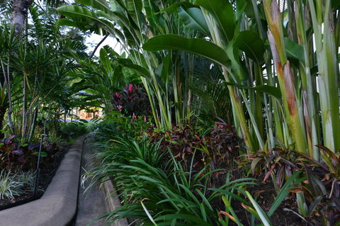 Port Douglas Apartments - Adults Only Oasis - QLD Tourism 9