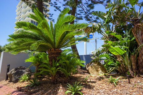 Carrington Court - QLD Tourism 37