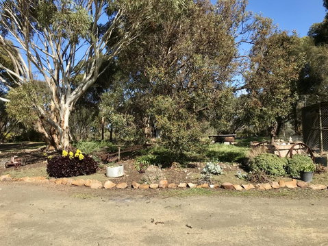 Beeâ€™s Place - 3 Bedroom Home On 10 Acres Of Land With Distant Ocean Views - QLD Tourism 15