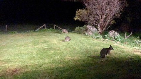 Beeâ€™s Place - 3 Bedroom Home On 10 Acres Of Land With Distant Ocean Views - QLD Tourism 13