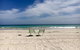 Beeâ€™s Place - 3 Bedroom Home On 10 Acres Of Land With Distant Ocean Views - thumb 27