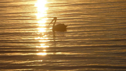 Keith's Sister - Queensland Tourism 44