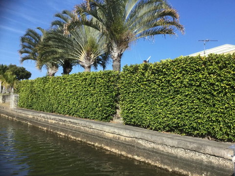 Private Canal Duplex With Pontoon - Oleander Drive, Bongaree - QLD Tourism 8