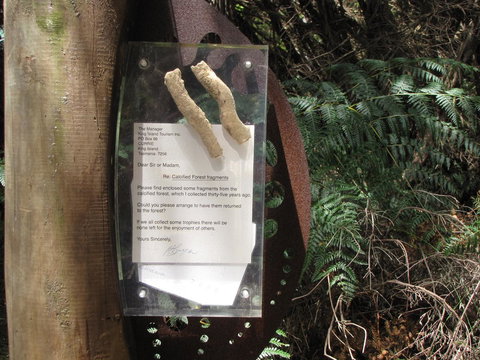 King Island Accommodation Cottages - QLD Tourism 42