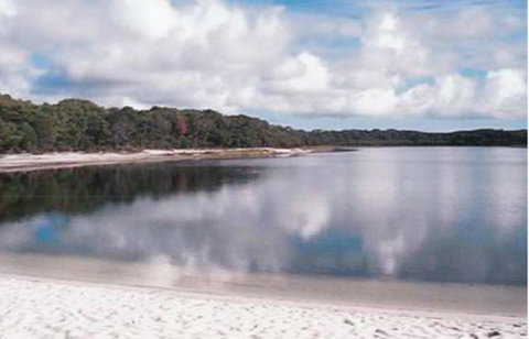 King Island Accommodation Cottages - QLD Tourism 17