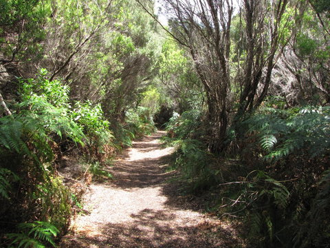 King Island Accommodation Cottages - QLD Tourism 12