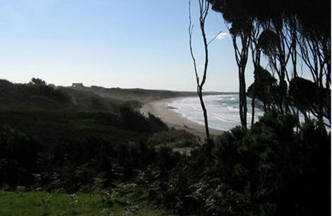 King Island Accommodation Cottages - QLD Tourism 19