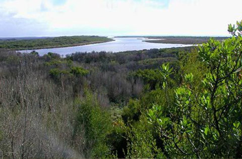 King Island Accommodation Cottages - QLD Tourism 20