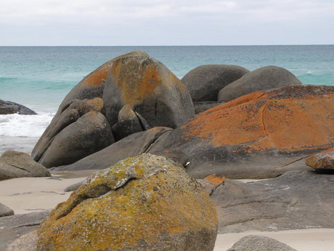 King Island Accommodation Cottages - QLD Tourism 40