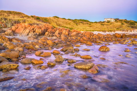 Porky Beach Retreat - King Island Escapes - QLD Tourism 9