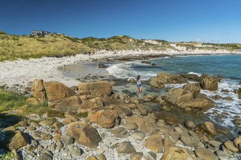 Porky Beach Retreat - King Island Escapes - QLD Tourism 13