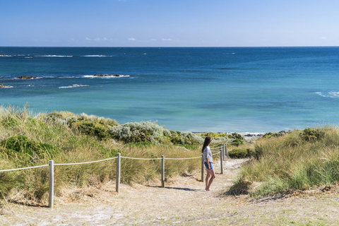 Porky Beach Retreat - King Island Escapes - QLD Tourism 14