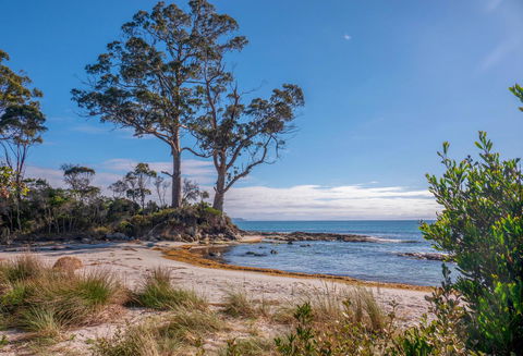 Adventure Bay Holiday Home - Queensland Tourism 12