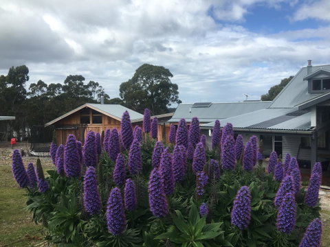 Bruny Island Lodge - QLD Tourism 5