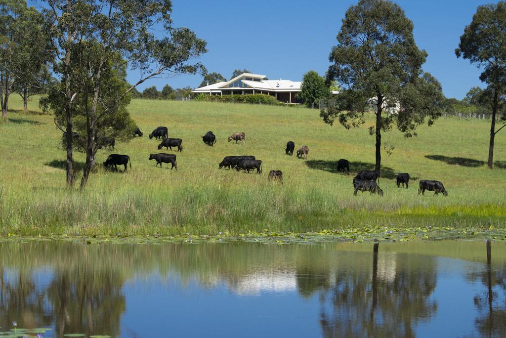 Wang Wauk NSW QLD Tourism